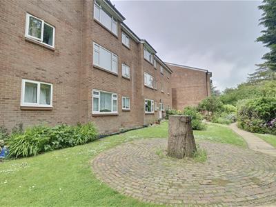 Picture 11